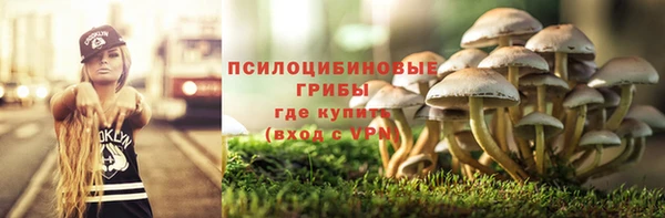 ECSTASY Зерноград