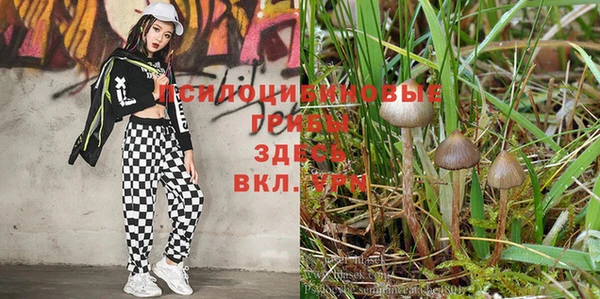 мдма Заводоуковск