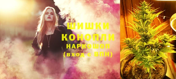 мдма Заводоуковск