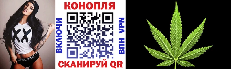 Купить  Подпорожье  Бошки Шишки сатива 